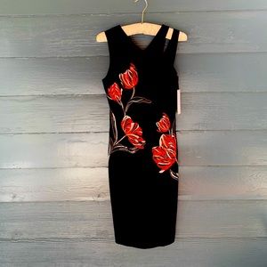 Karen Millen Dress new with tags